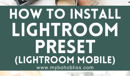 How to Install Lightroom Preset (Lightroom Mobile)